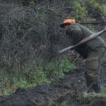 Hunting day in Slovakia