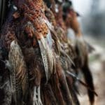 Hunting day in Slovakia