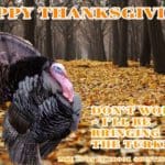 Happy Thanksgiving – I’ll Bring the Turkey | Hunting Magazine