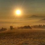 Slovakia Red Deer Hunting