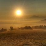 Slovakia Red Deer Hunting