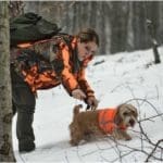 Hunting Rabbits with Basset Hounds