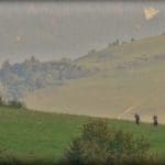 Slovakia Red Deer Hunting