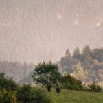 EXpedition Deer Rut 2018