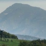 Slovakia Red Deer Hunting