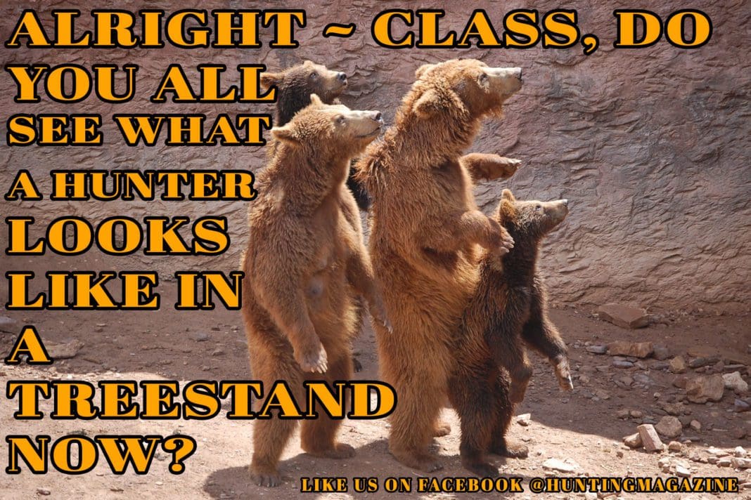 Bear hunting Meme | Hunting Magazine