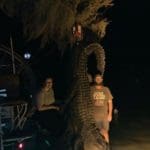 Massive South Carolina Gator Taken by Hunter Neeley