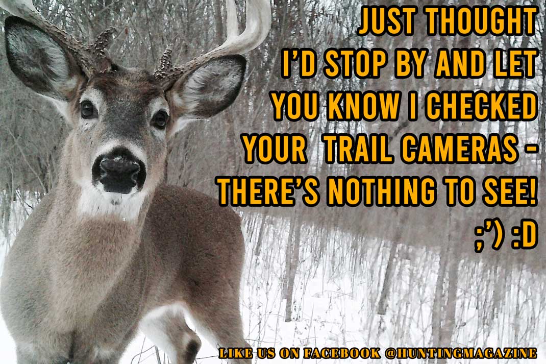 Hunting Meme: Whitetail Deer Buck Checks Deer Hunting Trail Cameras for Deer Hunter | Hunting Magazine