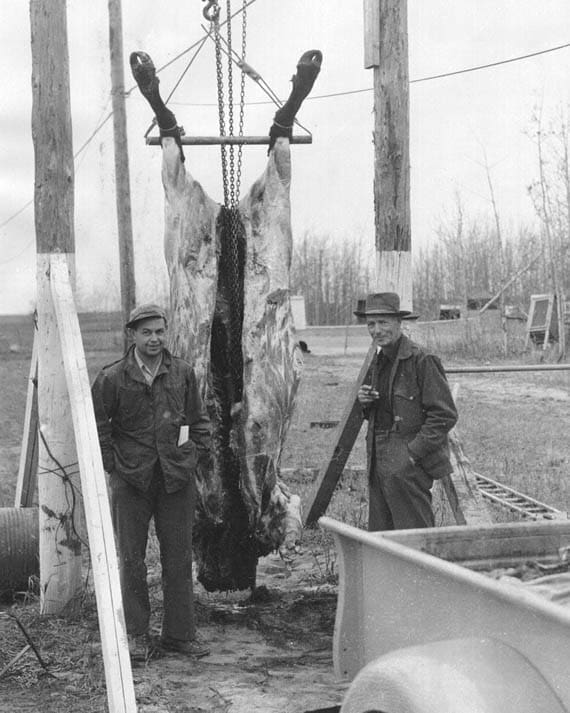 Hunters Harold Ervin and Frank Glaser with dressed-out Bison - Hunting Magazine