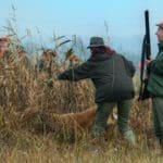 Jagdkarte.at