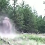 Video: Charging Bison Tosses Little Girl in the Air