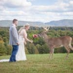 Dream Mountain Game Ranch Wedding | Hunting Magazine (2)