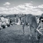 Dream Mountain Game Ranch Wedding | Hunting Magazine (8)