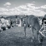 Dream Mountain Game Ranch Wedding | Hunting Magazine (8)