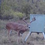 Craigslist Buck New Lease, New Friends, and the Buck of a Lifetime (3)