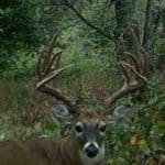 Craigslist Buck New Lease, New Friends, and the Buck of a Lifetime (7)
