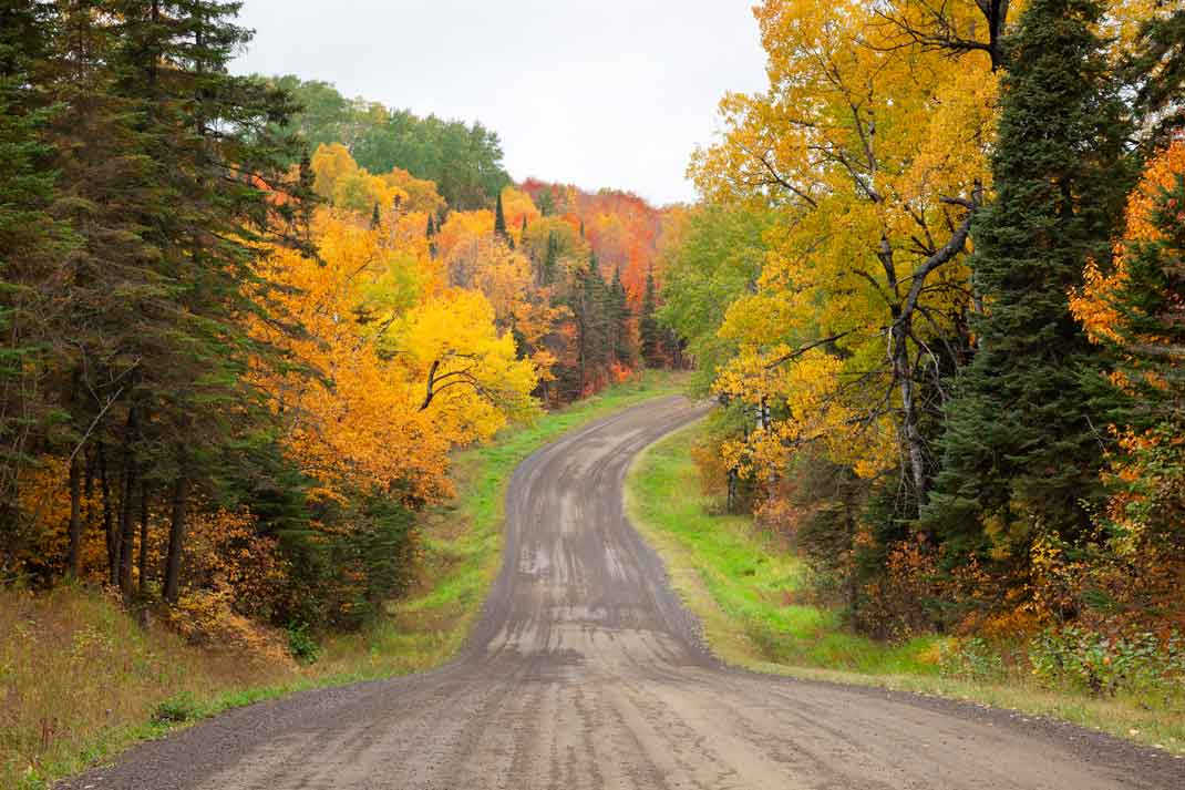 Minnesota Deer Hunting Land | Hunting Magazine