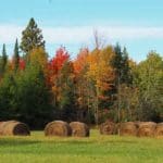 Wisconsin Hunting Land | Hunting Magazine