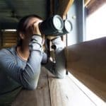 How to Find the Highest Quality Binoculars For Birdwatching