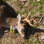 Synthetic Deer Scents Are BETTER Than Natural Urine