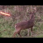 20-shots-in-20-minutes-ultimate-bowhunting-compilation