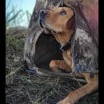 Ducking Hunting Season with Danielle Fairman & Duck Dog Bandit