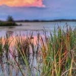 Ducking Hunting Season with Danielle Fairman & Duck Dog Bandit