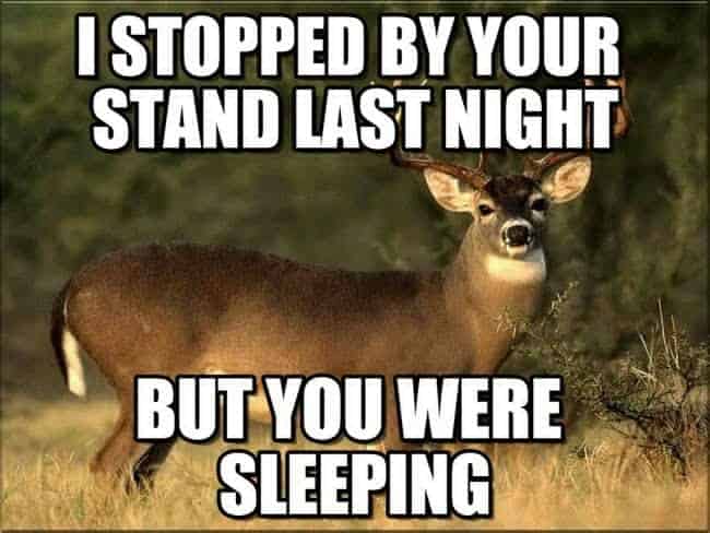 Hunting Meme: I stopped by your deer hunting stand today and you were still sleeping!