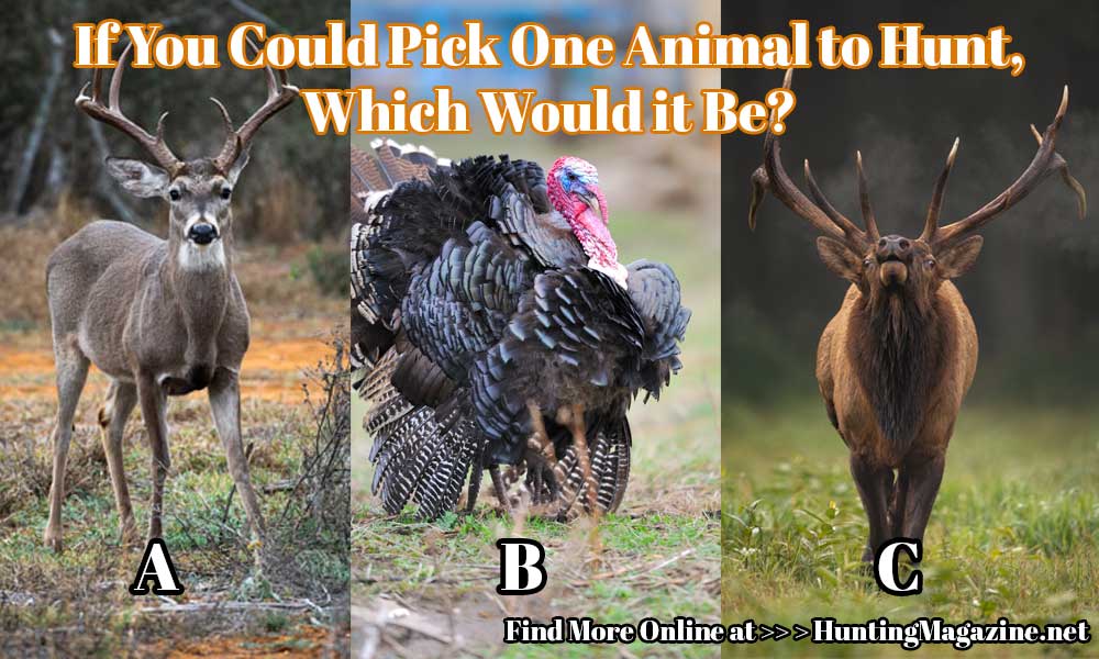 Hunting Meme: If You Could Pick One Animal to Hunt - Hunting Magazine