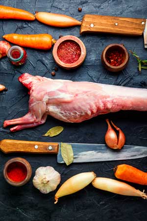 Hunting Rabbits is Fun and Enjoyable for New Hunters. Plus, they are Tasty to Eat - Hunting Magazine