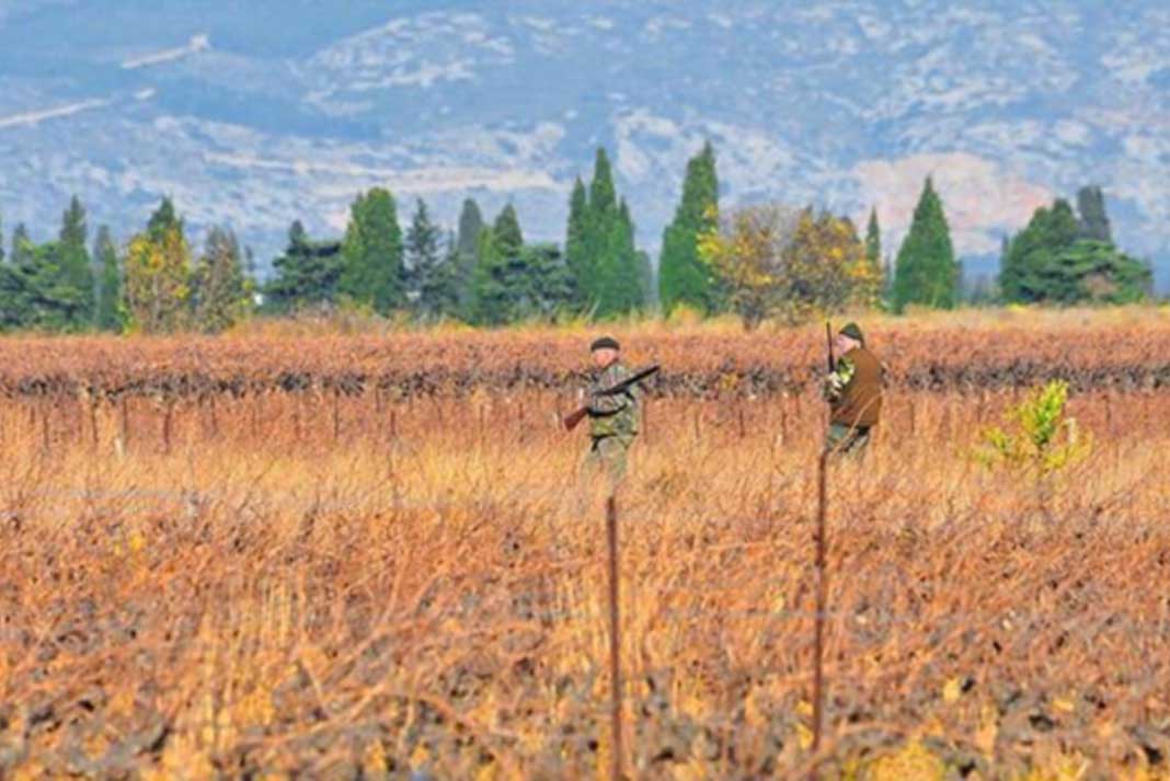 Some Simple Tips About Hunting - Hunting Magazine