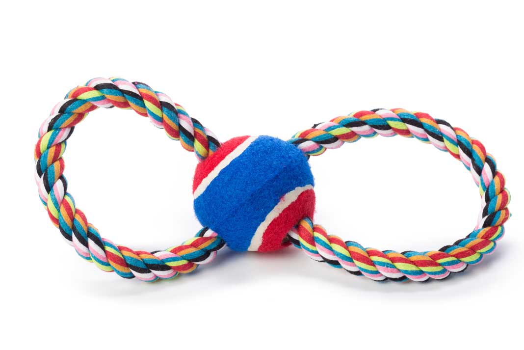 Tug Style Dog Toys are Good For Your Hunting Dog and Helps Them Release Needed Energy by Playing - Hunting Magazine