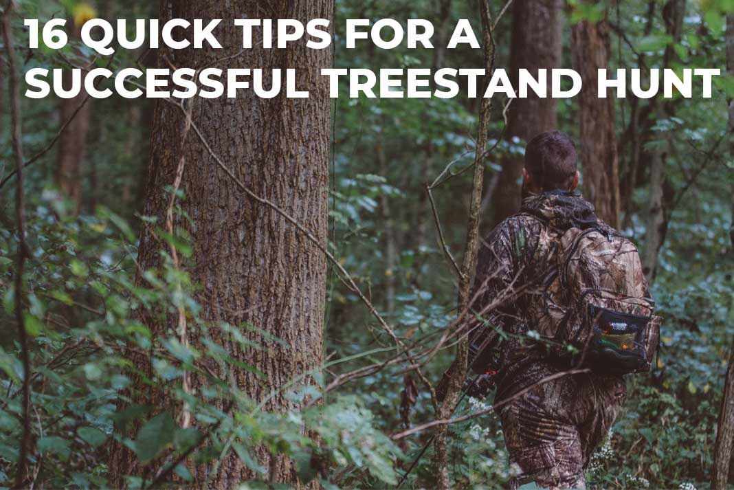 Treestand Hunting Tips - Hunting Magazine