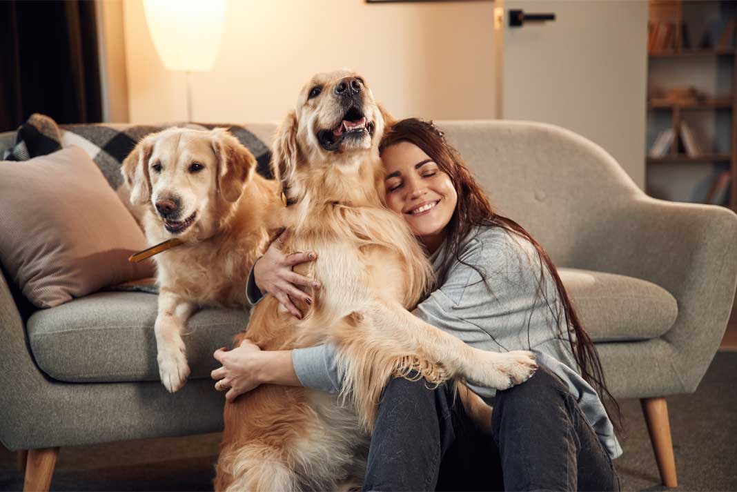 Bonding with Hunting Dog Living Indoors - Hunting Magazine Bonding with Hunting Dog Living Indoors - Hunting Magazine
