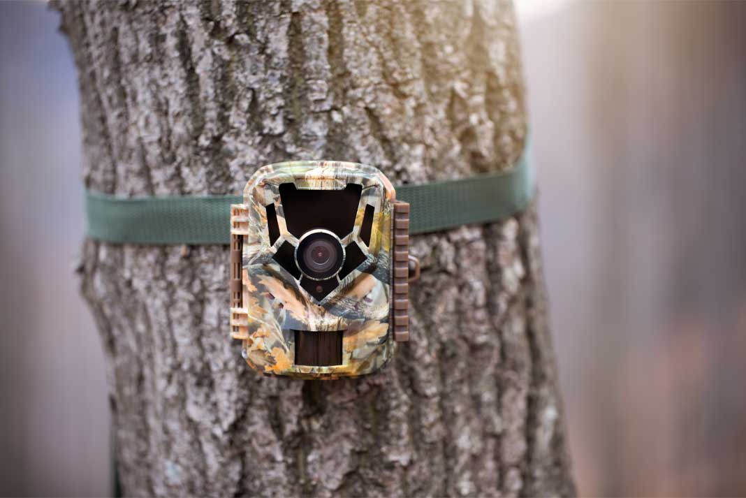 Setting Up Trail Camera - Hunting Magazine