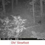 ole-slewfoot.jpg