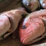 Fresh–Red-Snapper-for-Cooking-Recipe