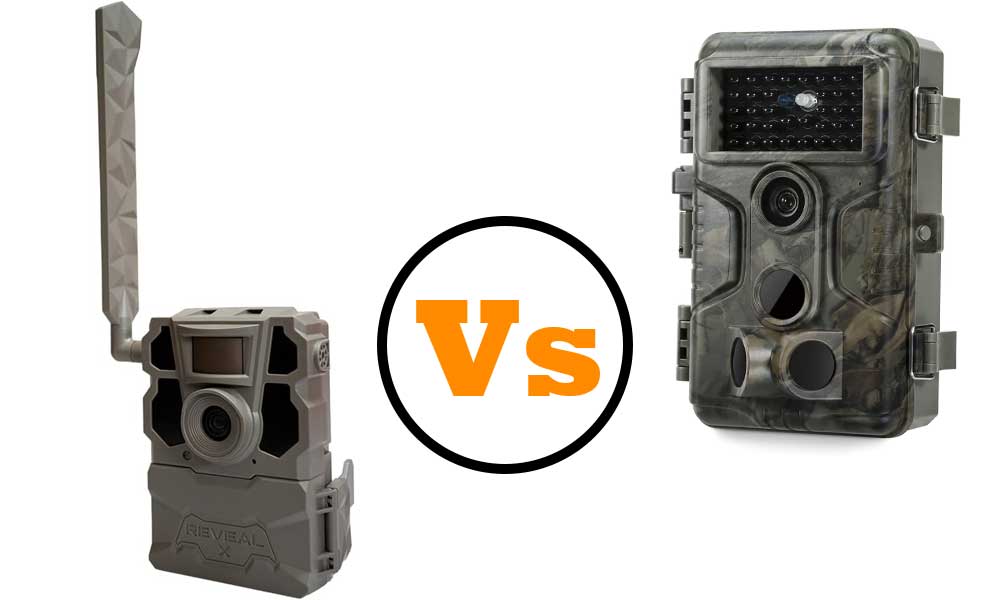 Cellular or non-cellular trail camera: Which should I get for deer hunting?
