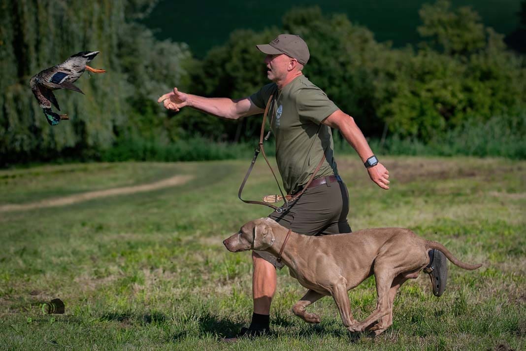 Water Trials for Hunting Dogs in Tě&scaron;any, Moravia Photography by Adam Simandel (102)