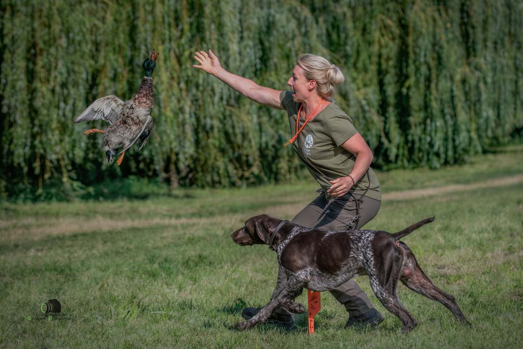 Water Trials for Hunting Dogs in Tě&scaron;any, Moravia Photography by Adam Simandel (110)