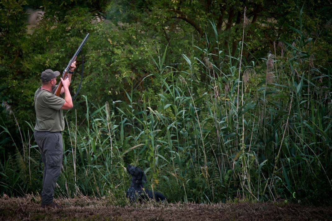 Water Trials for Hunting Dogs in Tě&scaron;any, Moravia Photography by Adam Simandel (115)
