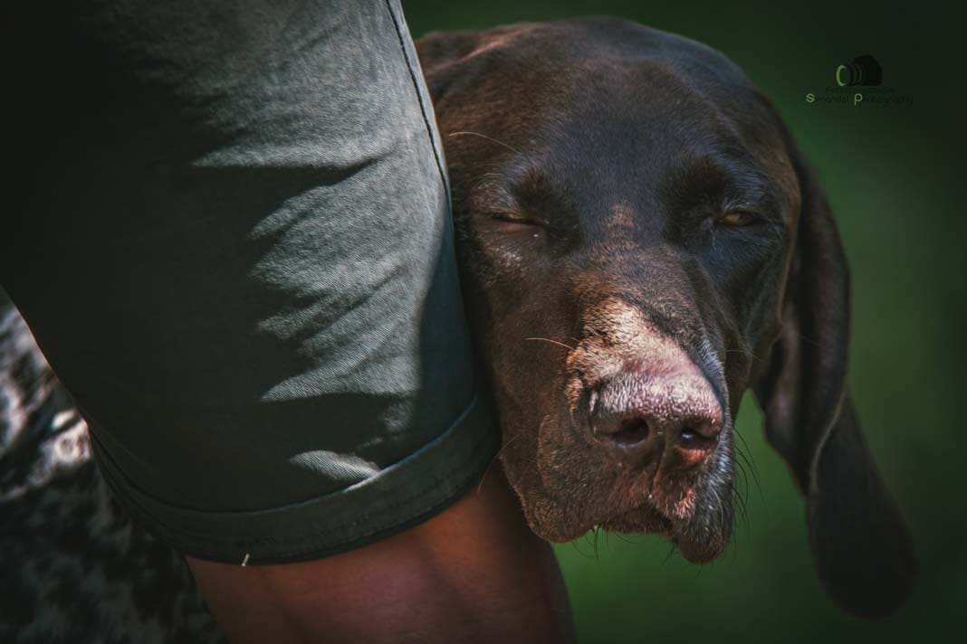 Water Trials for Hunting Dogs in Tě&scaron;any, Moravia Photography by Adam Simandel (145)