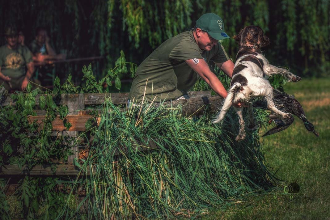 Water Trials for Hunting Dogs in Tě&scaron;any, Moravia Photography by Adam Simandel (166)