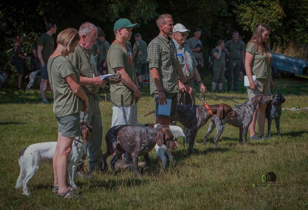 Water Trials for Hunting Dogs in Tě&scaron;any, Moravia Photography by Adam Simandel (192)
