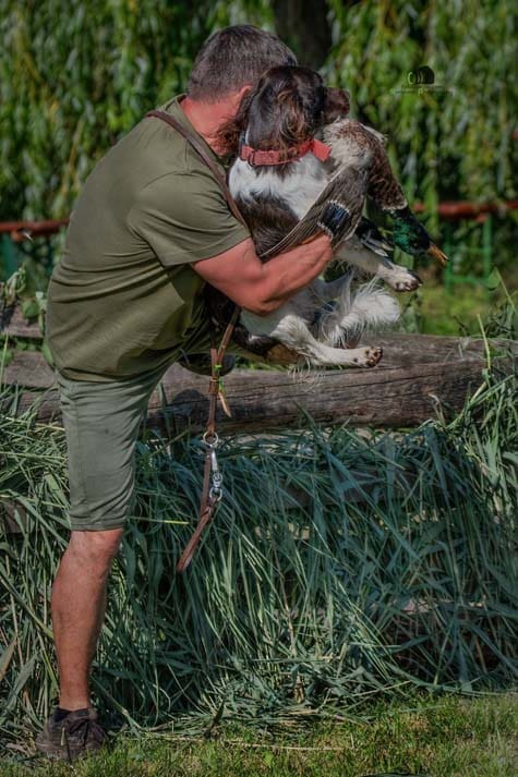 Water Trials for Hunting Dogs in Tě&scaron;any, Moravia Photography by Adam Simandel (202)