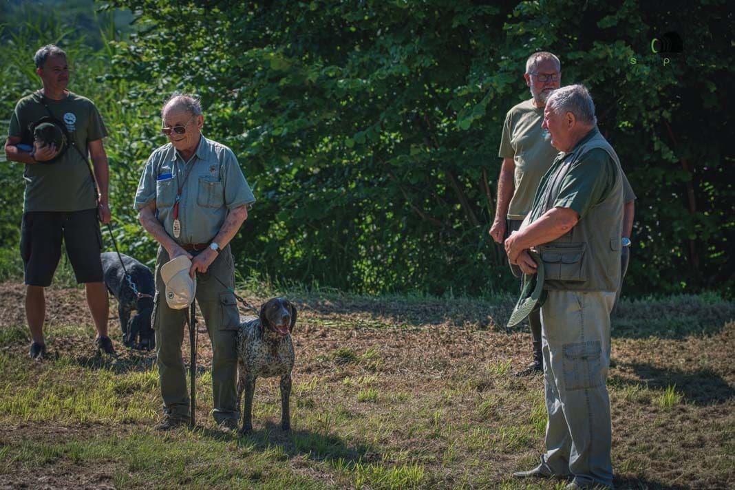 Water Trials for Hunting Dogs in Tě&scaron;any, Moravia Photography by Adam Simandel (5)