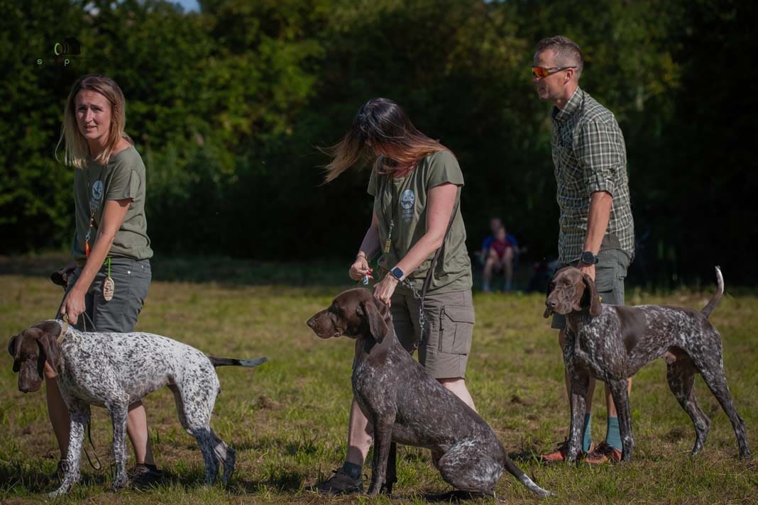 Water Trials for Hunting Dogs in Tě&scaron;any, Moravia Photography by Adam Simandel (62)