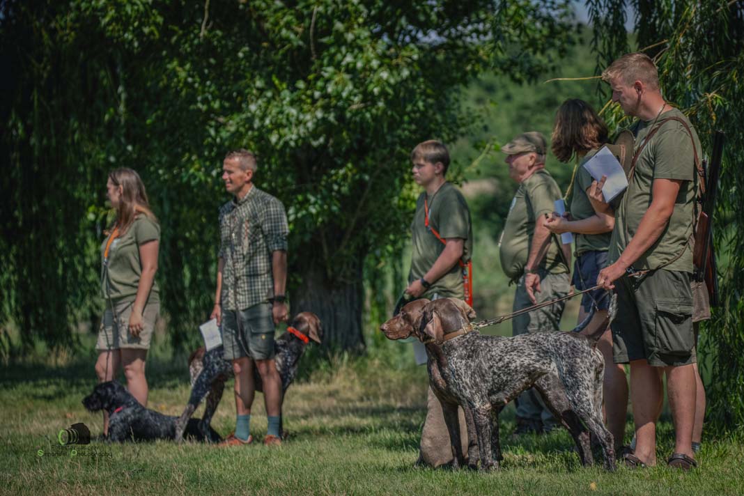 Water Trials for Hunting Dogs in Tě&scaron;any, Moravia Photography by Adam Simandel (87)