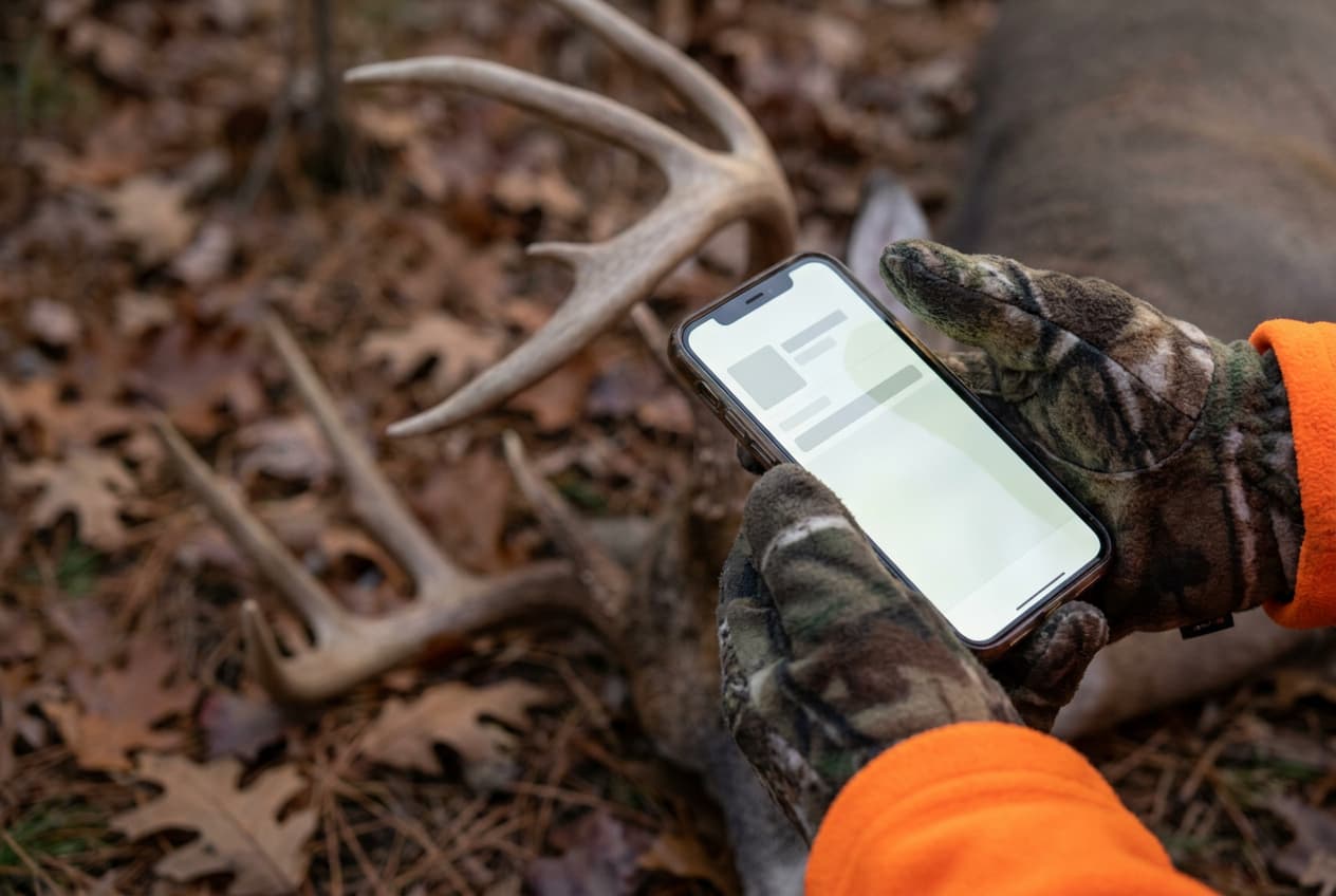 Hunter validating a harvested whitetail with a phone at the kill site under Minnesota's new 2026 rules Hunter validating a harvested whitetail with a phone at the kill site under Minnesota's new 2026 rules