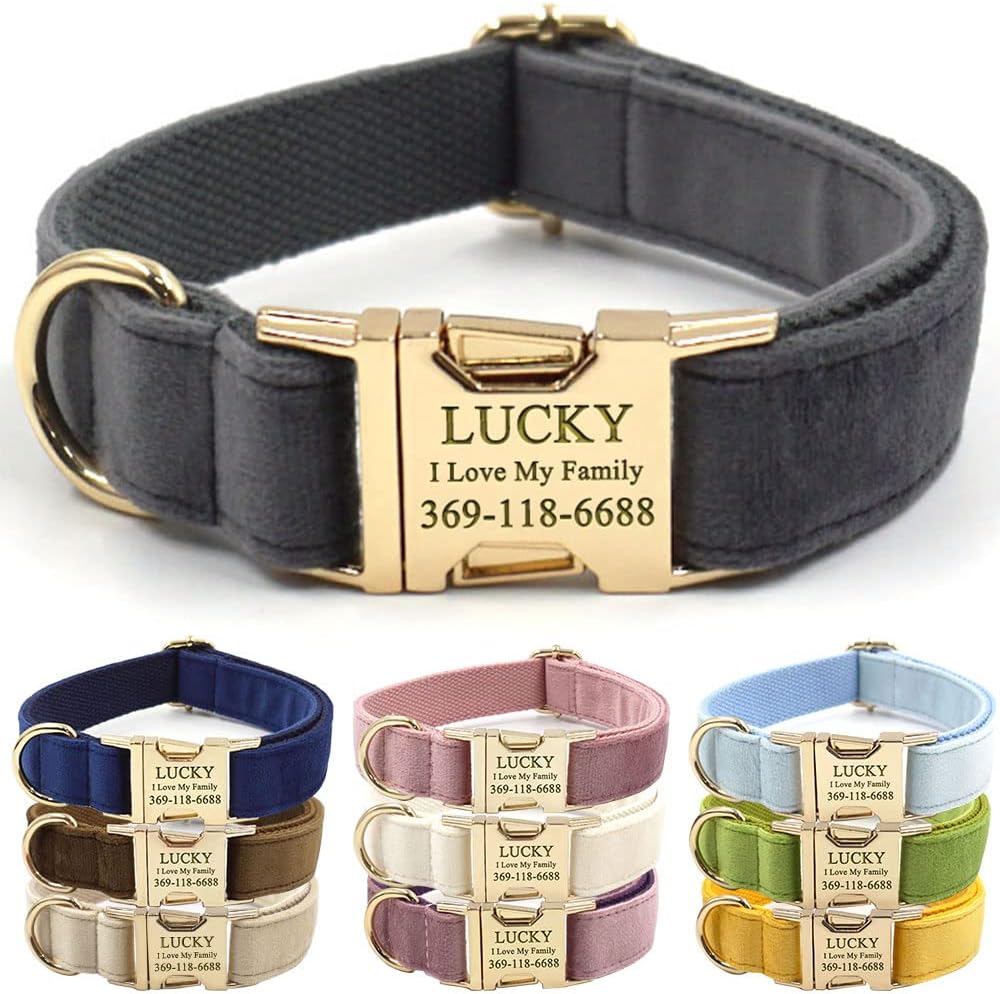 Personalized Female Hunting Dog Collar for Large Medium Small Dogs Personalized Female Hunting Dog Collar for Large Medium Small Dogs